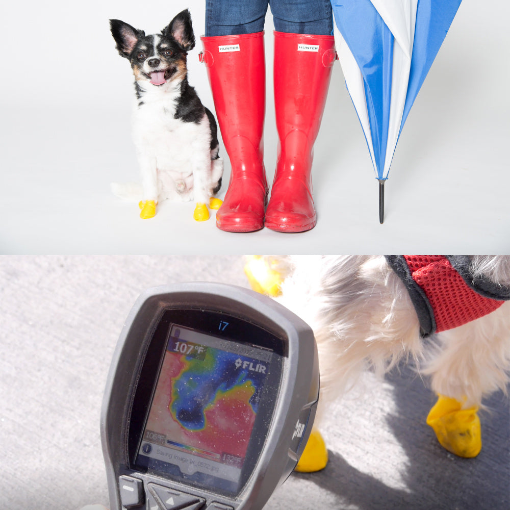 
                  
                    Pawz Black Dog Boots
                  
                