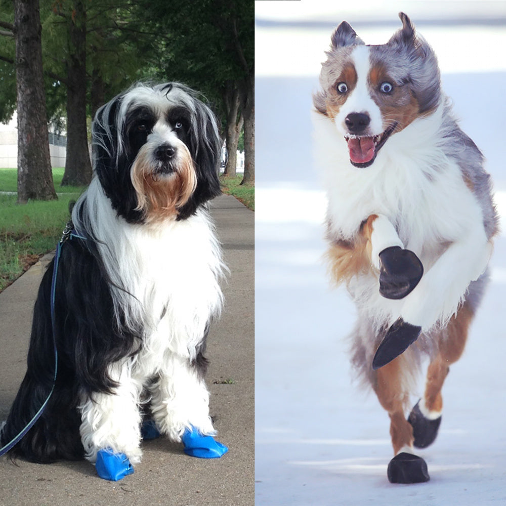 
                  
                    Pawz Black Dog Boots
                  
                