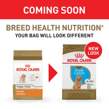 Load image into Gallery viewer, Royal Canin Breed Health Nutrition Poodle Puppy Dry Dog Food