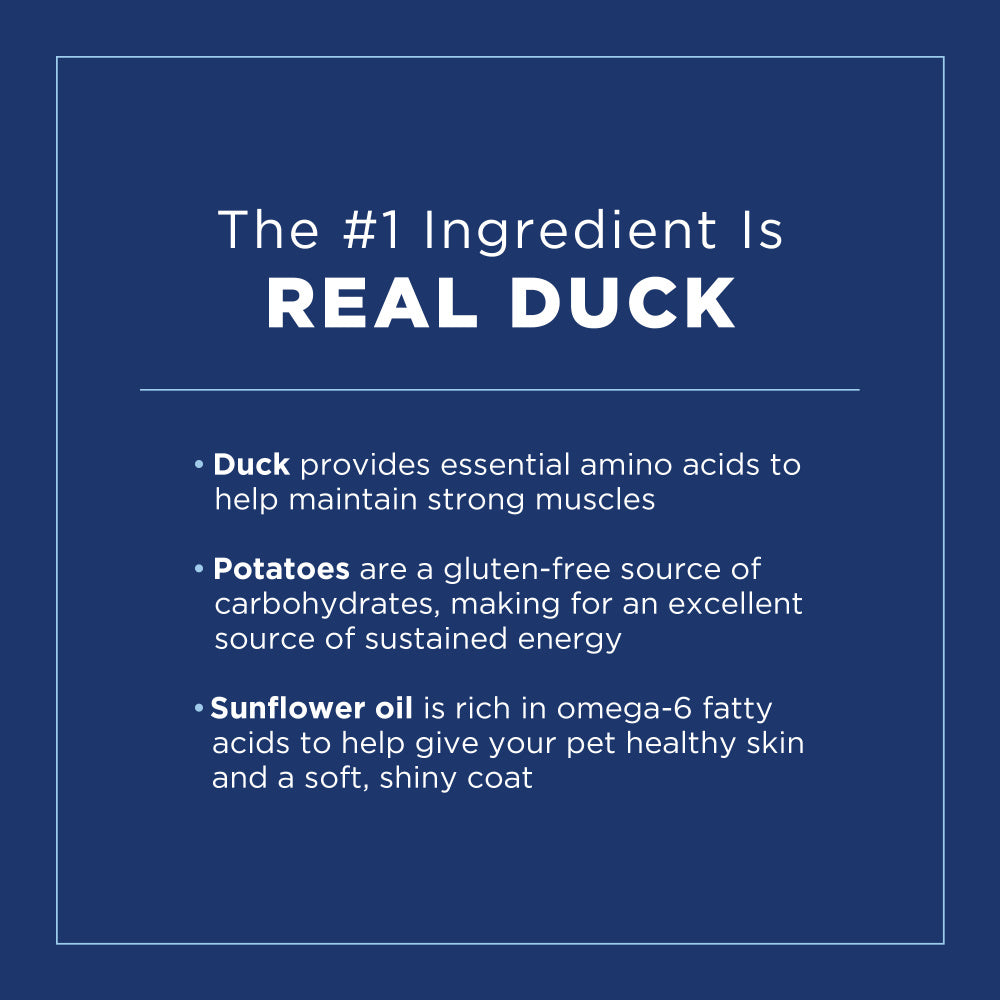 
                  
                    Natural Balance L.I.D. Limited Ingredient Diets Grain Free Potato and Duck Puppy Formula Dry Dog Food
                  
                