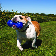 Load image into Gallery viewer, KONG Squeezz Dumbbell Dog Toy