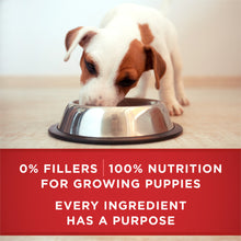 Load image into Gallery viewer, Purina ONE SmartBlend Classic Healthy Puppy Ground Lamb &amp; Long Grain Rice Canned Dog Food