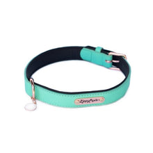 Load image into Gallery viewer, ZippyPaws Vivid Collection Teal Dog Collar