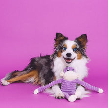 Load image into Gallery viewer, ZippyPaws Purple Spencer Crinkle Monkey Small Plush Dog Toy