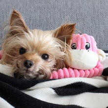 Load image into Gallery viewer, ZippyPaws Pink Spencer Crinkle Monkey Small Plush Dog Toy
