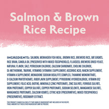 Load image into Gallery viewer, Natural Balance Limited Ingredient Salmon &amp; Brown Rice Recipe Dry Dog Food