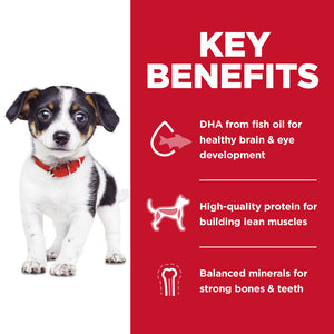 Hill's Science Diet Puppy No Corn, Wheat, or Soy Chicken & Brown Rice Recipe Dry Dog Food