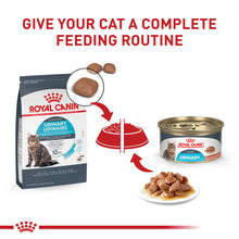 Load image into Gallery viewer, Royal Canin Feline Care Nutrition Urinary Care Dry Cat Food
