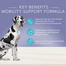 Load image into Gallery viewer, Blue Buffalo True Solutions Jolly Joints Mobility Support Formula Adult Canned Dog Food