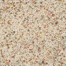 Load image into Gallery viewer, Higgins Vita Seed Parakeet Food