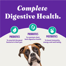 Load image into Gallery viewer, Halo Holistic Vegan Dog Food Complete Digestive Health Plant-Based Recipe with Kelp Adult Formula Dry Dog