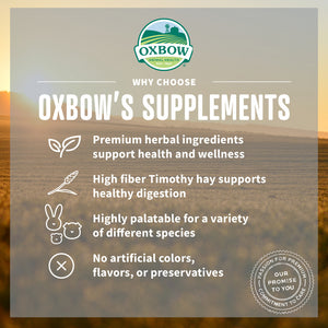Oxbow Animal Health Natural Science Digestive Support