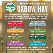 Load image into Gallery viewer, Oxbow Animal Health Organic Meadow Hay For Rabbits &amp; Guinea Pigs