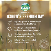 Load image into Gallery viewer, Oxbow Animal Health Organic Meadow Hay For Rabbits &amp; Guinea Pigs