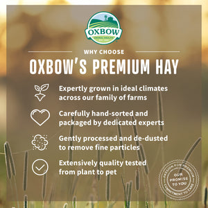 Oxbow Animal Health Western Timothy Hay All Natural Hay for Rabbits Guinea Pigs Chinchillas Hamsters & Gerbils