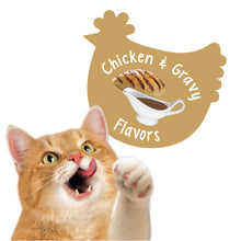 Load image into Gallery viewer, Friskies Party Mix Crunch Gravylicious Chicken &amp; Gravy Flavors Cat Treats