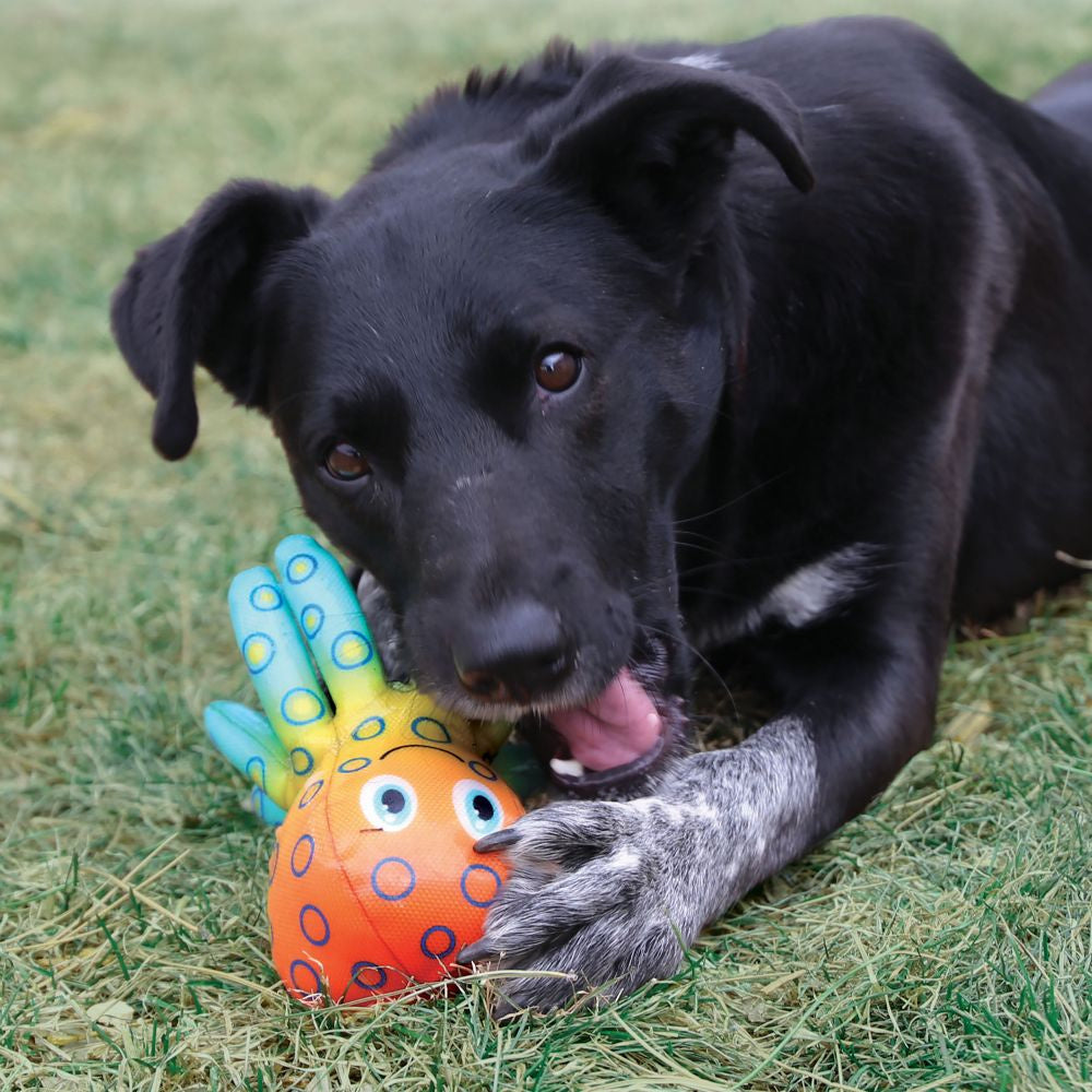 
                  
                    KONG Shieldz Tropics Frog Dog Toy
                  
                