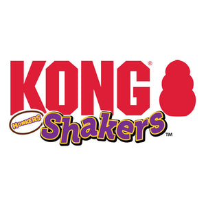 KONG Shakers Honkers Dragon Dog Toy