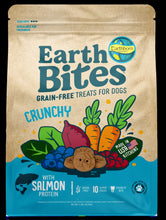 Load image into Gallery viewer, Earthbites Crunchy Grain Free Salmon Treats