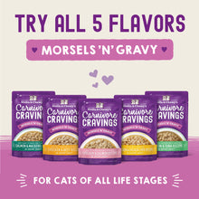 Load image into Gallery viewer, Stella &amp; Chewy&#39;s Carnivore Cravings Morsels N Gravy Chicken &amp; Chicken Liver Recipe Pouch Cat Food