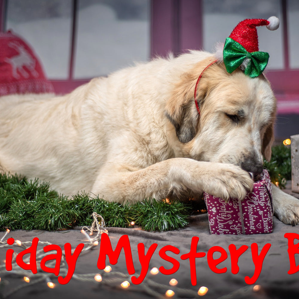 Holiday Mystery Box for Dogs
