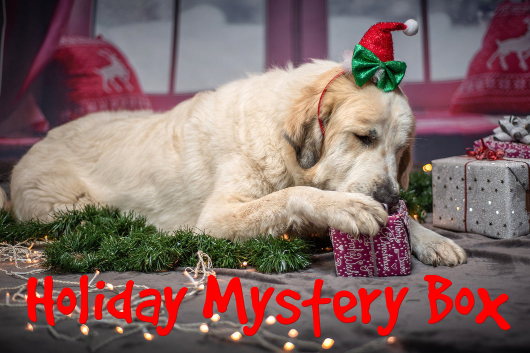 Holiday Mystery Box for Dogs