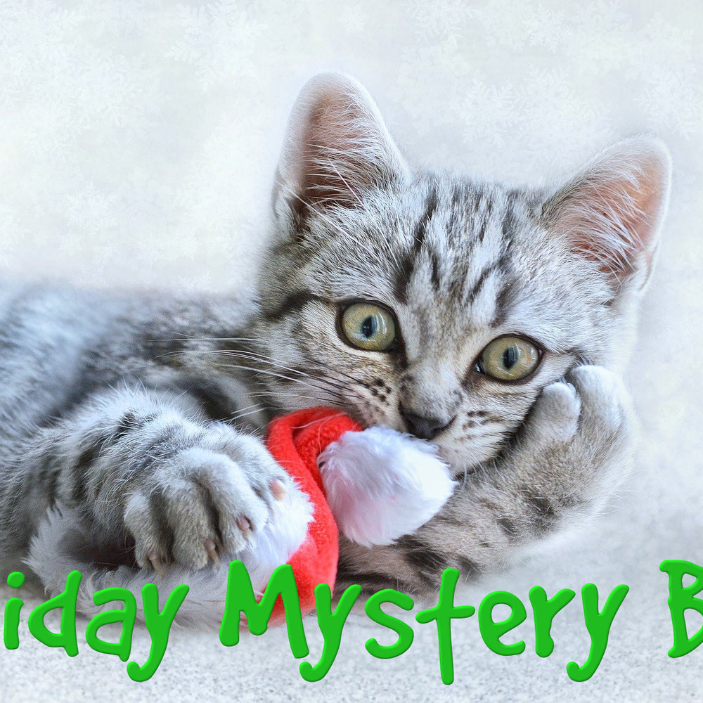 Holiday Mystery Box for Cats