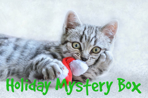 Holiday Mystery Box for Cats