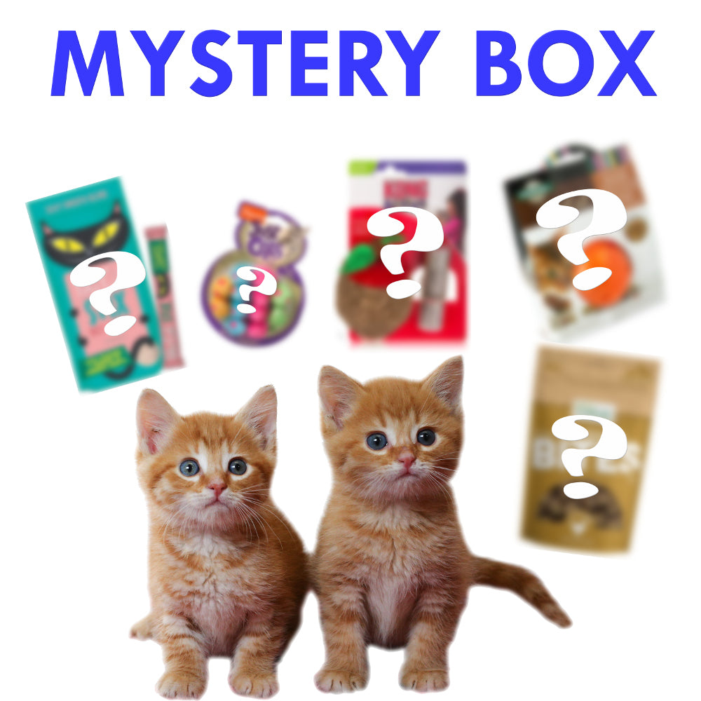 Cat on sale mystery box