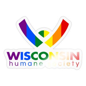 WHS Pride Sticker - transparent glossy