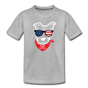 USA Dog Kids' Premium T-Shirt - heather gray