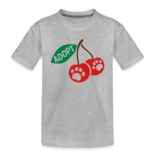 Door County Cherries Kids' Premium T-Shirt - heather gray