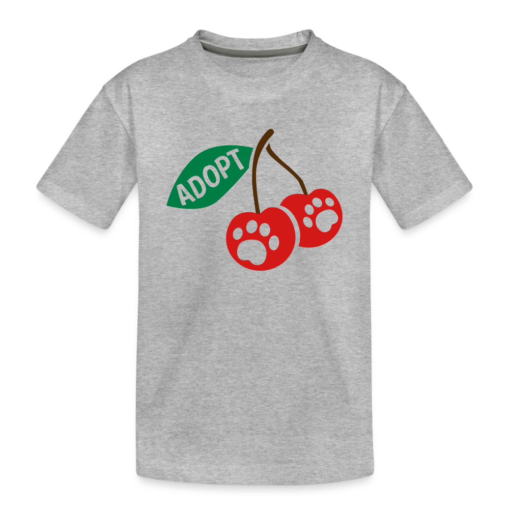 Door County Cherries Kids' Premium T-Shirt - heather gray