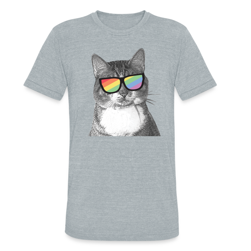 Pride Cat Tri-Blend T-Shirt - heather grey