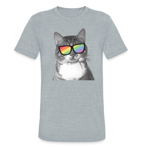 Pride Cat Tri-Blend T-Shirt - heather grey