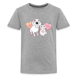 Valentine Hearts Kids' Premium T-Shirt - heather gray