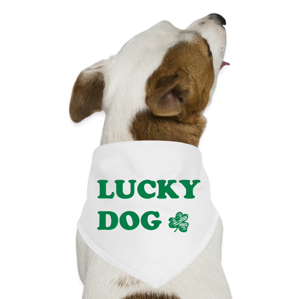 Lucky Dog Bandana - white